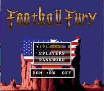 Football Fury